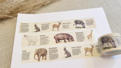 Design Washi Tape Encyclopaedia